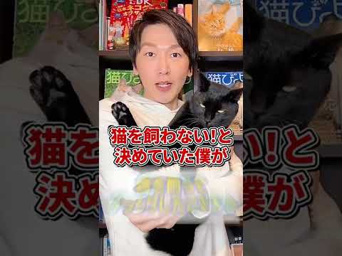 猫が退屈している5つのサイン