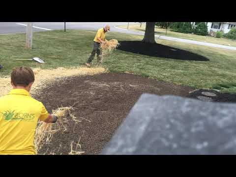 Grass this!(Time-lapse)