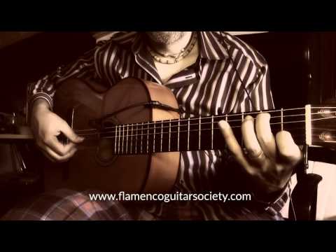 How to play Traditional Alegrias with Jose Deluna