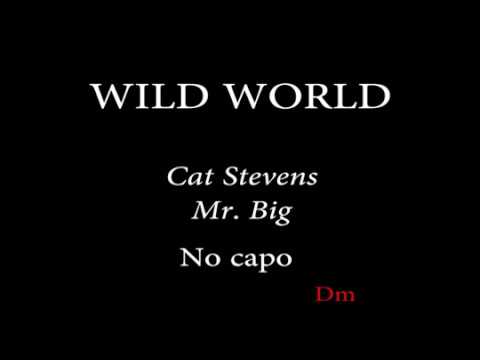 Wild World - James Blunt