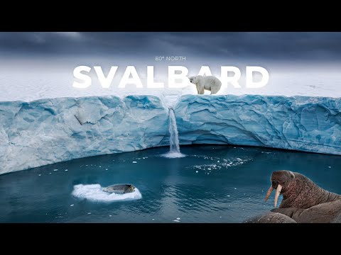 The ARCTIC in 8K - DJI Inspire 3 Cinematic Video