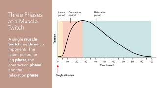 PhysioEx Exercise 2 - Skeletal Muscle Physiology