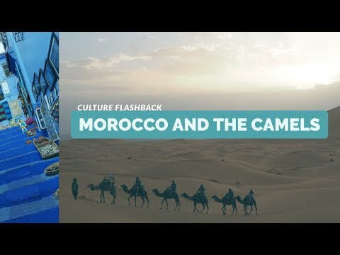 Morocco and the Camels - Culture Flashback
