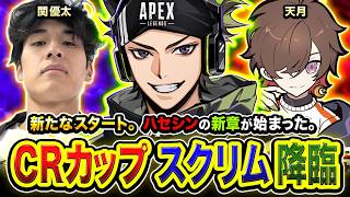 【APEXカスタム】新たなスタート。今宵もハセシンの新章が始まった。CRカップ公式スクリムDAY２。with 関優太, 天月, 5CG(コーチ)【ZETAハセシン】Apex Legends