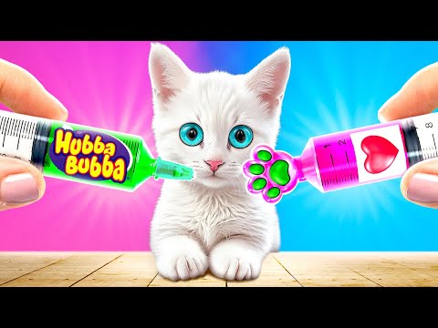 CONSTRUYO UNA HABITACIÓN SECRETA EN EL ARMARIO 🏡 Desafío de Decoración😱 Gato Adoptado Por YayTime!