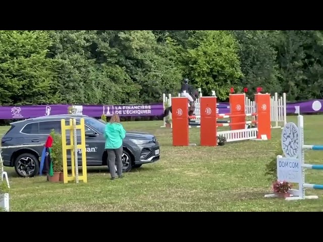 Ego Louvo Hongre de 11 ans 