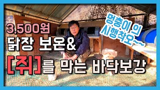도대체 언제까지 시행착오를? 3500원이면 닭장 월동준비끝!