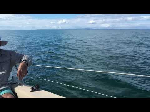 Farr 6000 Moreton bay