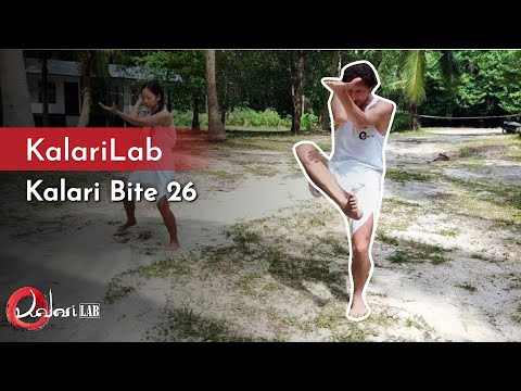 The essential power of the Siva form - Kalari Bite 26
