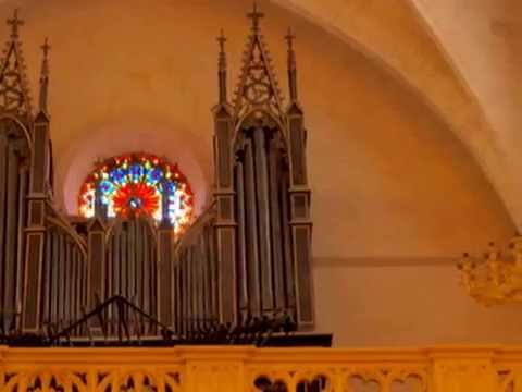 RE: Milvago chimachima