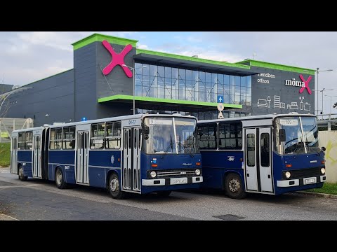 Ikarus autóbuszok a 9-es, 109-es járatok vonalán