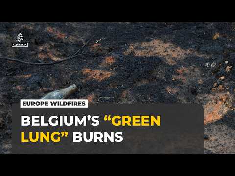 Belgium Burns as Silent Heatwave Deaths Soar