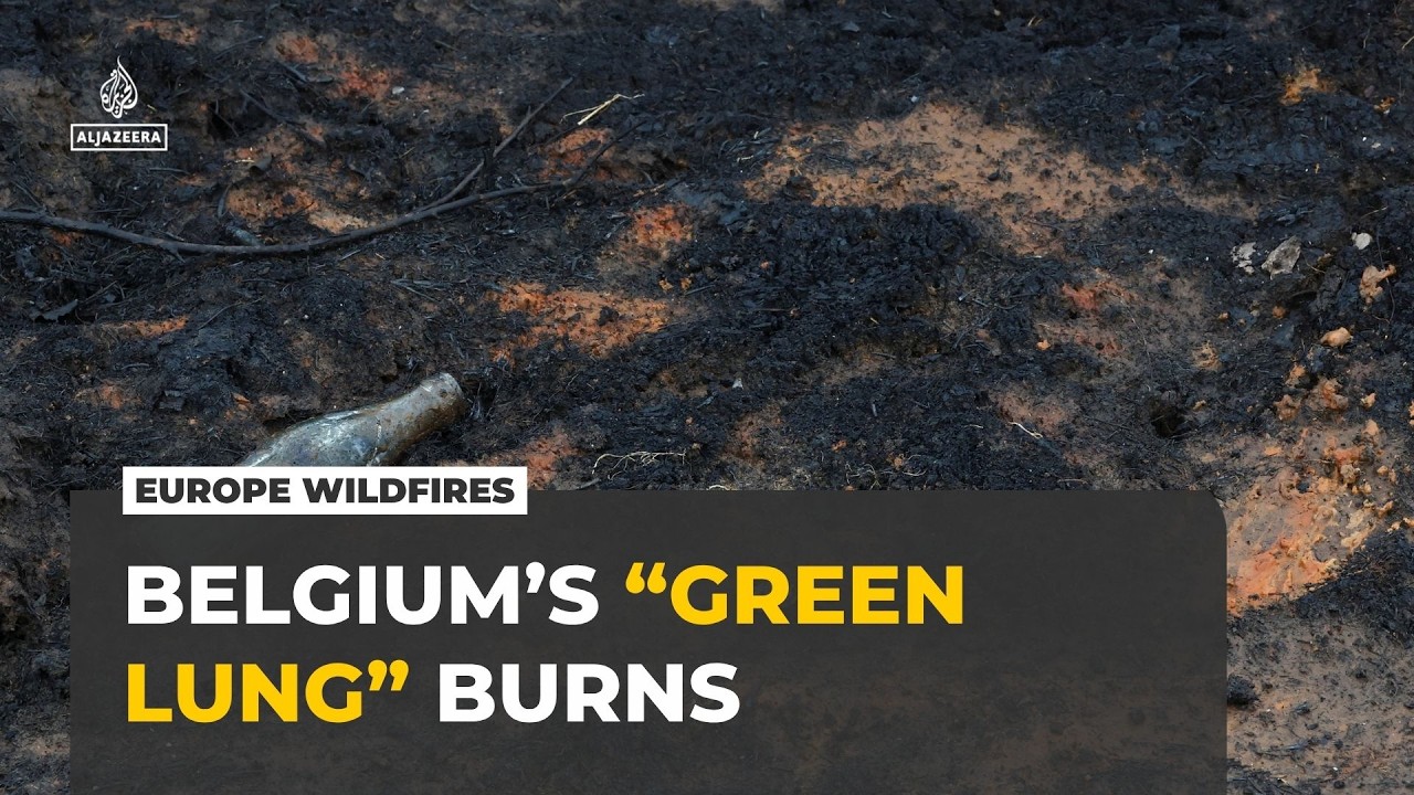 Belgium Burns as Silent Heatwave Deaths Soar