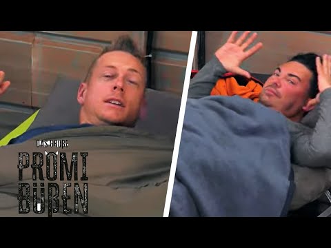 "So ein Drecks-Lied" - der Wecksong sorgt für schlechte Laune bei Calvin | Das große Promibüßen