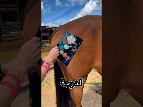 🐎 زينة الحصان تحولت إلى مفاجأة غير متوقعة😱