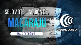 Miniatura do vídeo