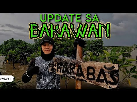 P1-Update sa mga Tanim na Bakawan - EP1057