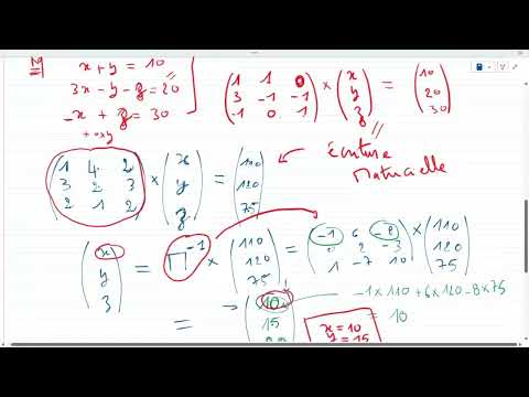 Guide Pratique de Révision & Conseils pour l'Examen