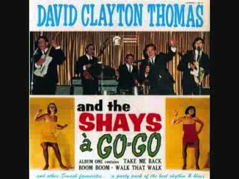 David Clayton Thomas & the Shays - Want You I Don't
