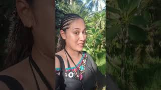 Caribbean Hangout in Roatan Honduras - LIVESTREAM
