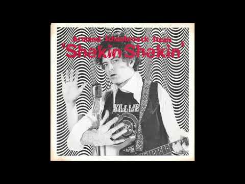 Armand Schaubroeck - Crazy Baby Got's Me Shakin' Shakin'