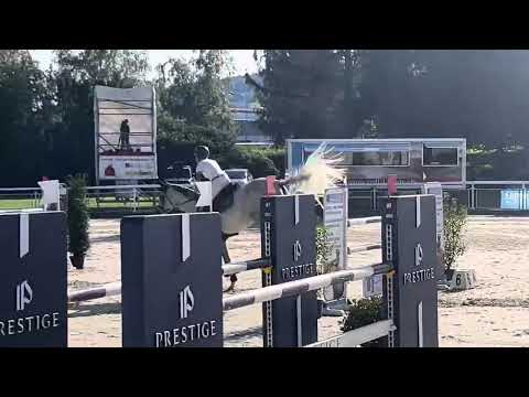 Kay Grey CSI Dielsdorf 2023 130