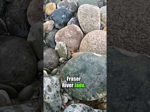 Fraser River Jade!