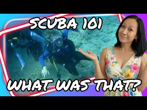 Green Sea Turtle swimming over coral reef