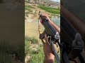 AKM Test Fire Shortsfeed Shortvideo Ak47rifle Ak47firing Youtubeshorts Trending Ak47