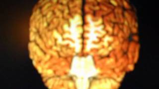 la velocidad del tiempo.mpg