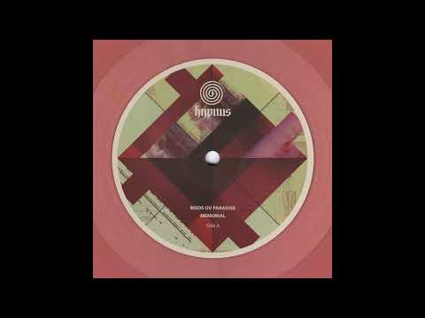 Birds ov Paradise - Samuel