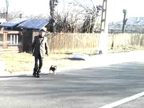 naie batausu din letca noua