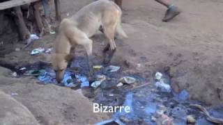 An Introduction to Kibera