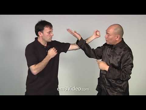 WING CHUN KUEN - Punch the Punch- by Sifu Robert Chu