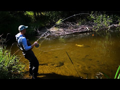 Epic Salmon BOBBER DOWNS! Float Fishing for Kings