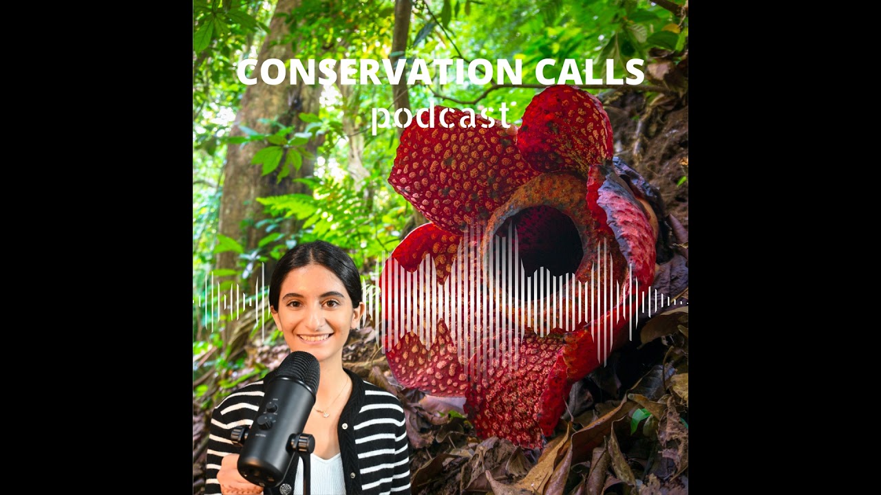 Voices of Change: 15 Years of Conservation Impact
