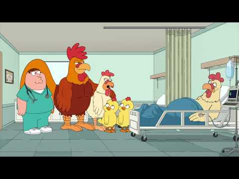 Family Guy - Cocks are chickens