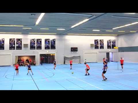 VEO A1 / A2  / B1  28nov2020