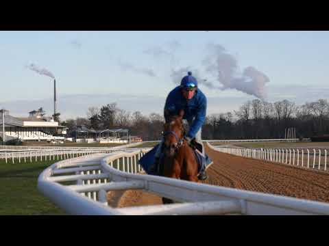 Trainingsimpressionen Rennstall Grewe Frühjahr 2021