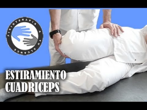 Estiramientos y anatomia del cuadriceps