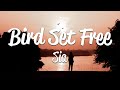 Sia - Bird Set Free (Lyrics)