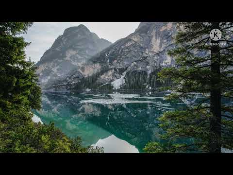 DÉTENTE À LA CAMPAGNE – Oiseaux - Abeilles - Mouches Pour Un Sommeil Réparateur