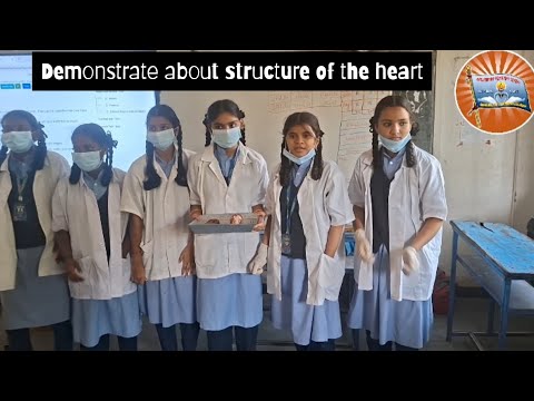 Experiential Learning: Structure of the Heart