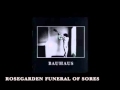 Bauhaus - Rosegarden Funeral Of Sores (with lyrics)