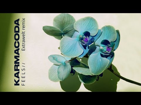 Karmacoda - Feels (Extrawelt Full Remix)