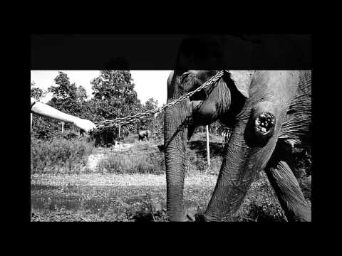 Motel Connection - All Right