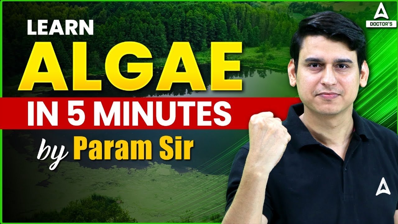 NEET BIOLOGY : LEARN ALGAE IN 5 MINUTES | Plant Kingdom Class 11 NCERT | BY PARAM SIR