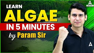 NEET BIOLOGY : LEARN ALGAE IN 5 MINUTES | Plant Kingdom Class 11 NCERT | BY PARAM SIR
