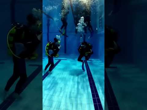 Nauczymy Cię nurkować OD PODSTAW!😊Kurs nurkowania startuje już dzisiaj o godzinie 18:00 w EdenSport!