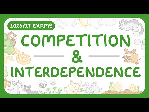 GCSE Biology - Competition & Interdependence (2026/27 exams)